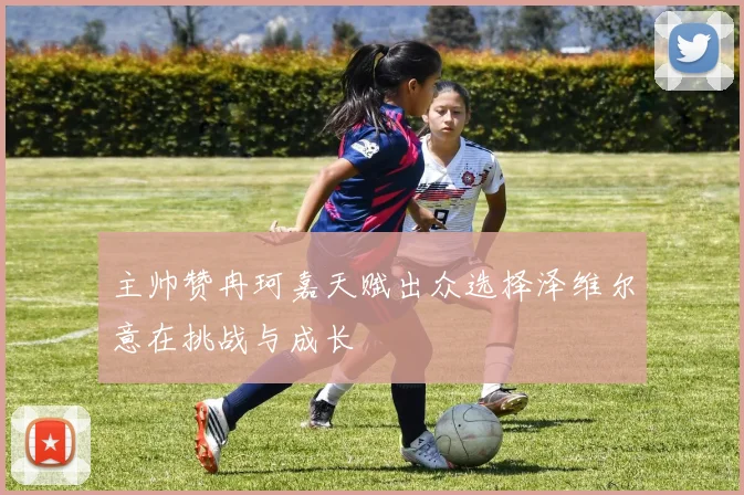 主帅赞冉珂嘉天赋出众选择泽维尔意在挑战与成长